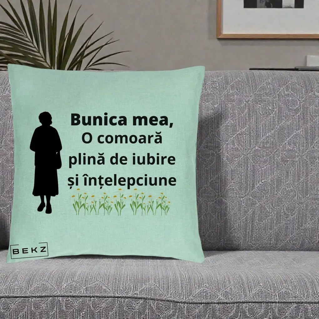 Cadou pentru Bunica - Perna Personalizata Bunica Mea Comoara Iubire Intelepciune Silueta cu Nepoata, 40x40 cm, Verde Menta, Husa Detasabila, Perna Inclusa, BEKZ®