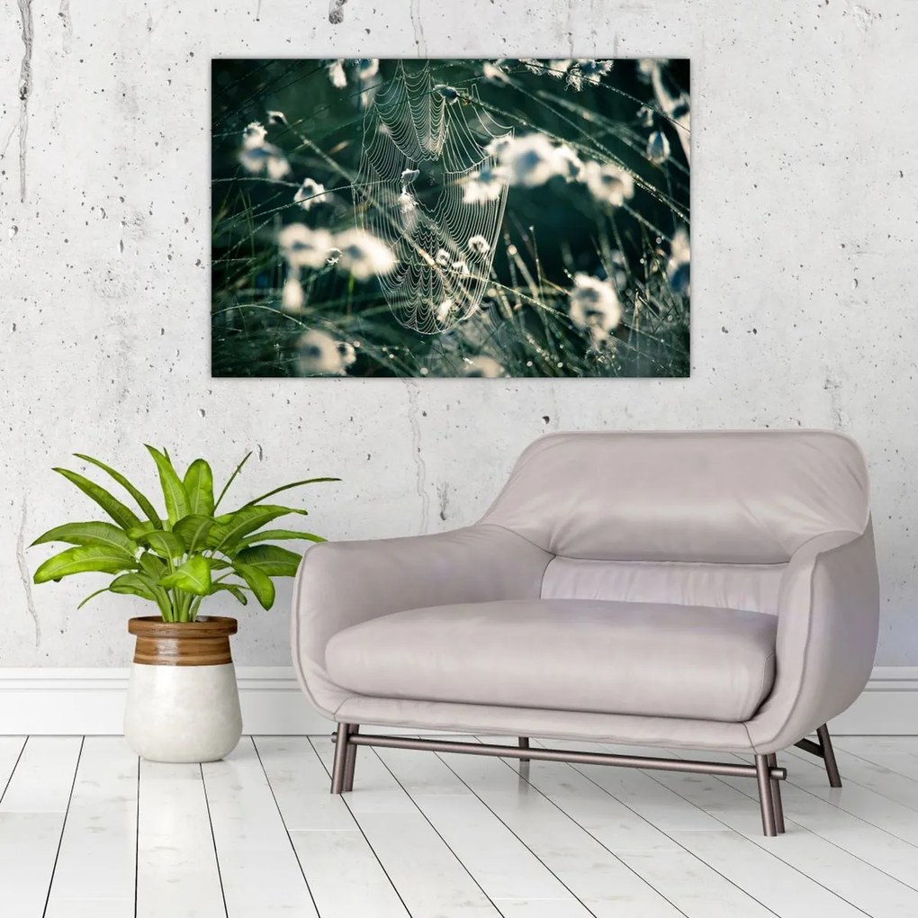 Tablou - Pânză de păianjen (90x60 cm)