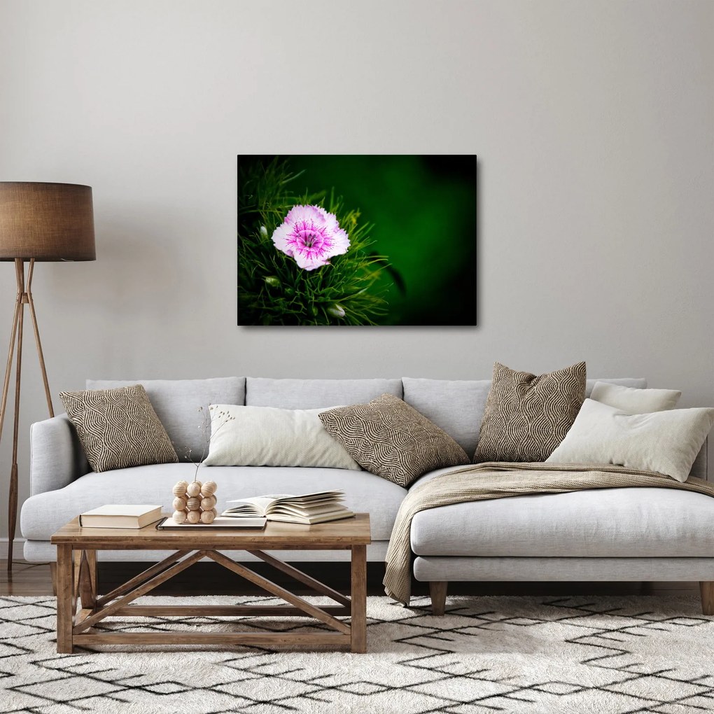 Tablou cu floare roz (70x50 cm)