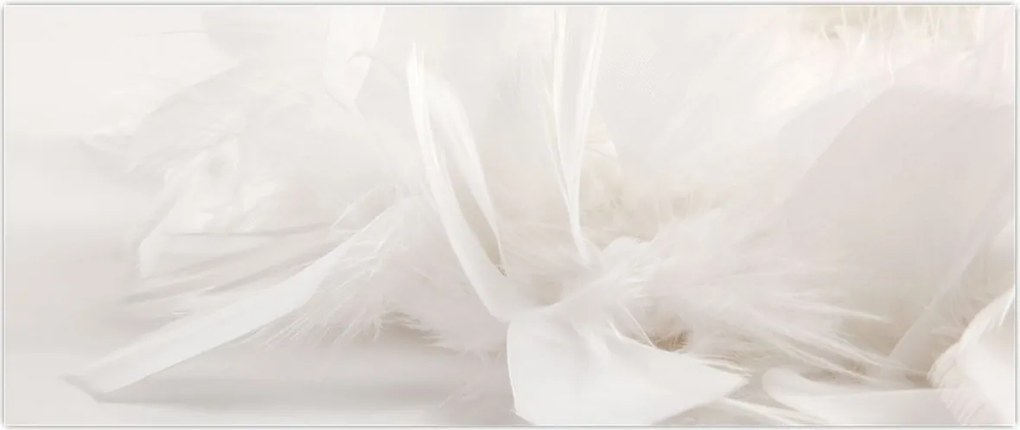 Tablou - Pană (120x50 cm)