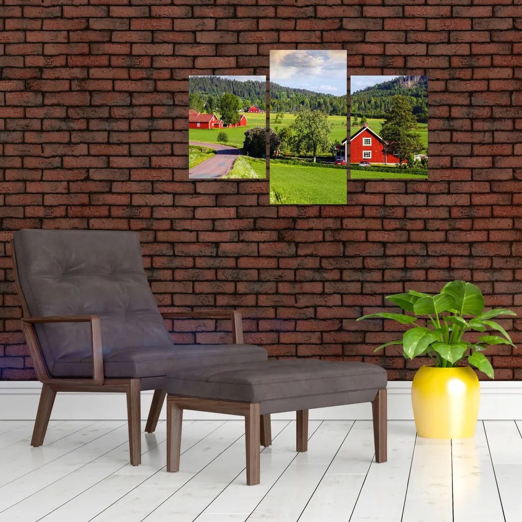 Tabloul cu țară (90x60 cm)