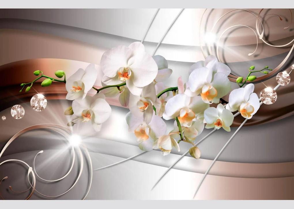 Fototapet. Rafinament Floral pe Fond Aramiu. Art.05221