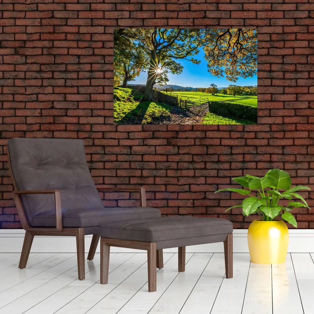 Tablou Privire la câmp (90x60 cm)