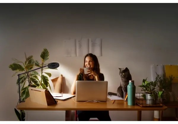 Lampă LED dimabilă cu clemă SUN@HOME LED/15W/230V CRI 95 Wi-Fi Ledvance