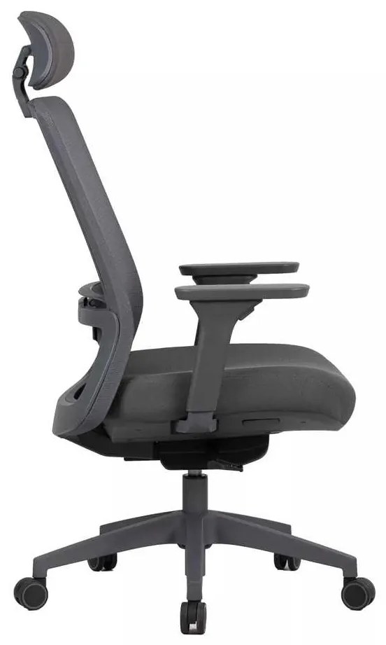 Scaun de birou Cantaron Plus, gri