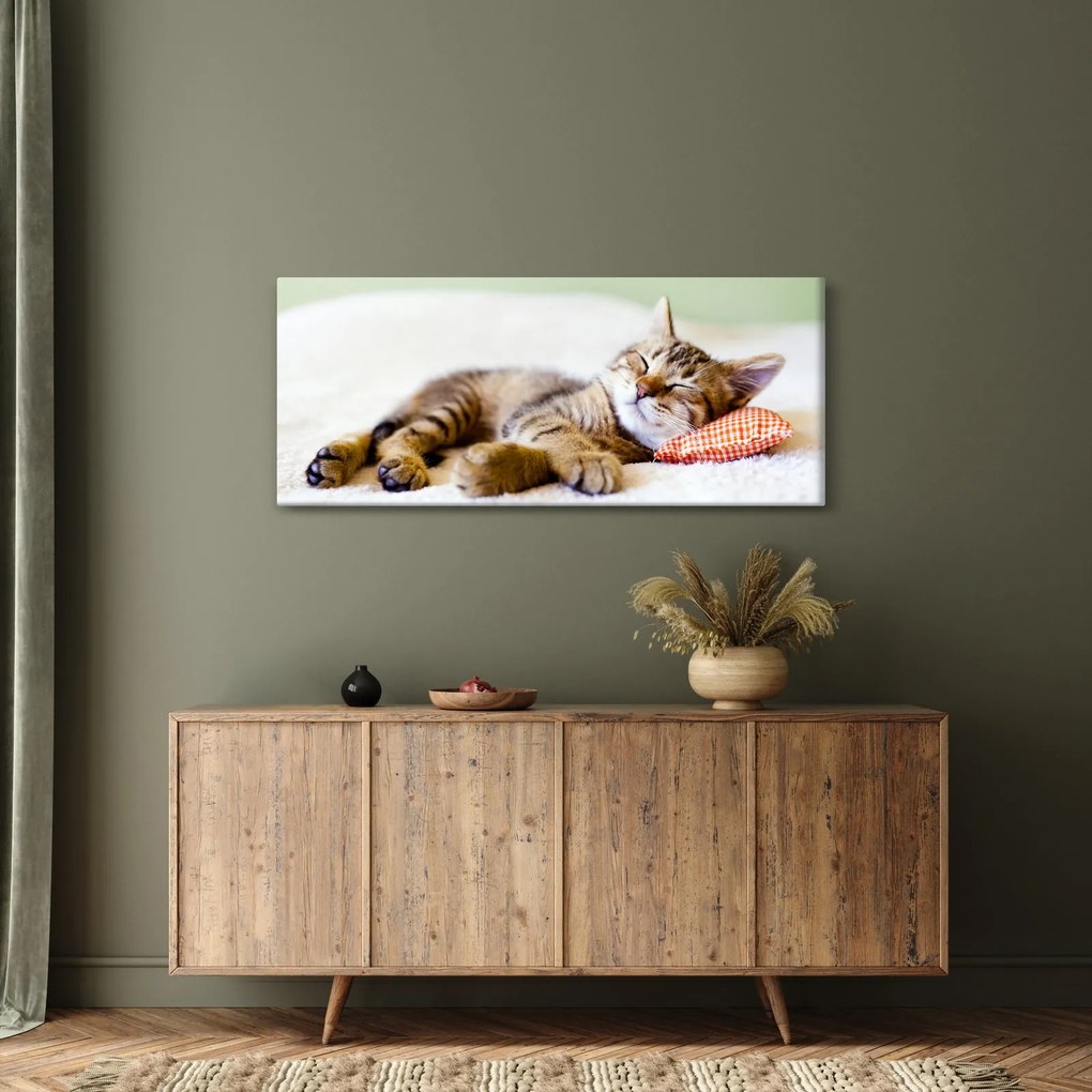 Tablou - Pisicuța adormită (120x50 cm)