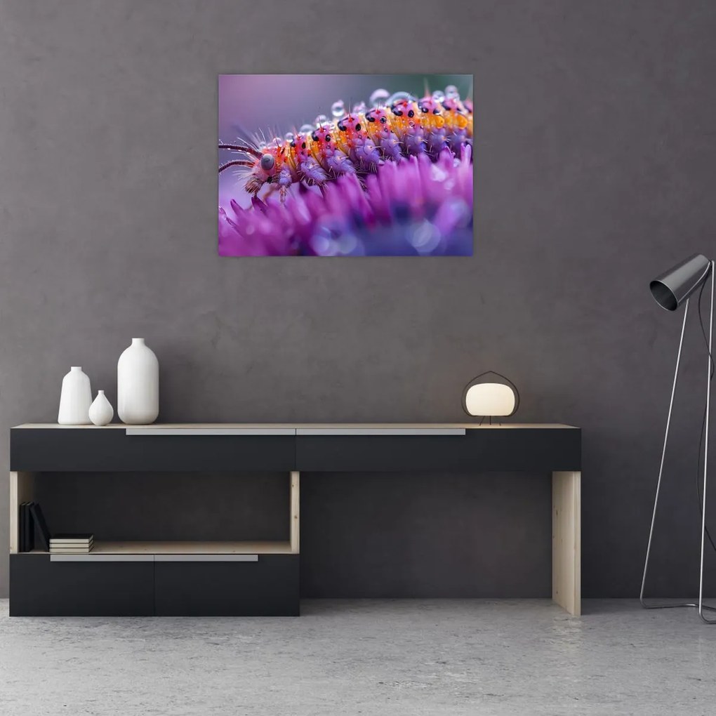 Tablou - Caterpillar (70x50 cm)