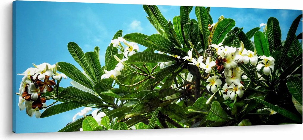 Tablou - Plumeria (120x50 cm)