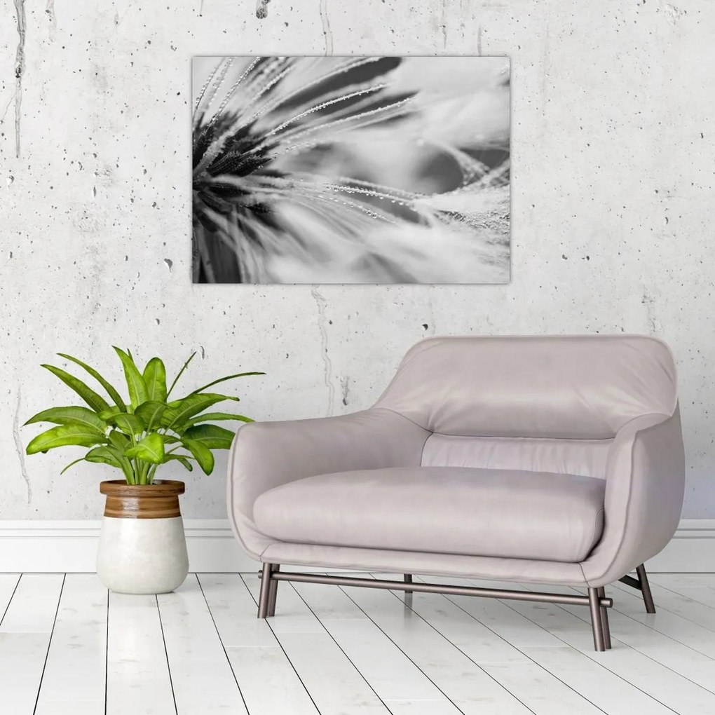 Tablou - Macro,alb-negru (70x50 cm)
