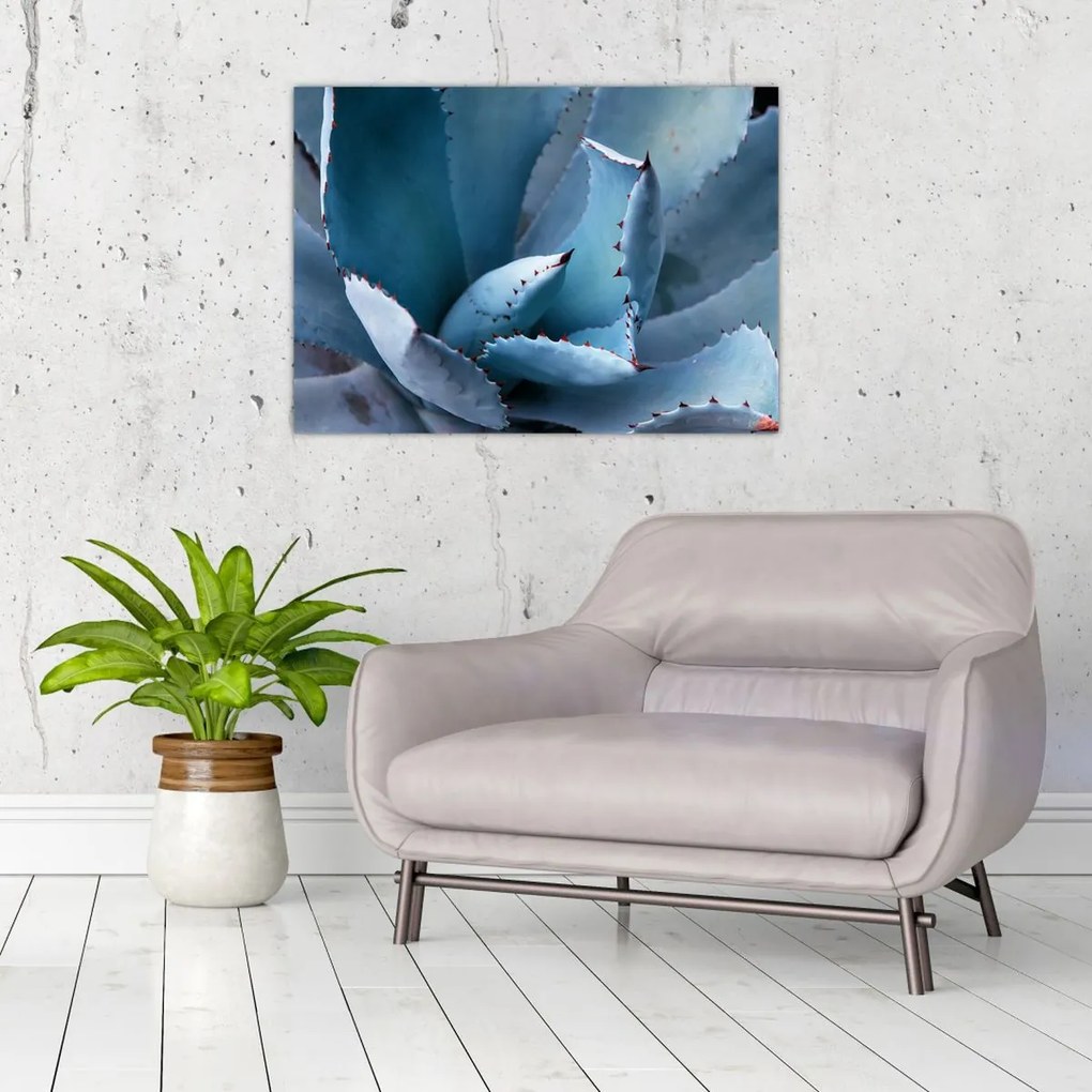 Tablou - Agave (70x50 cm)