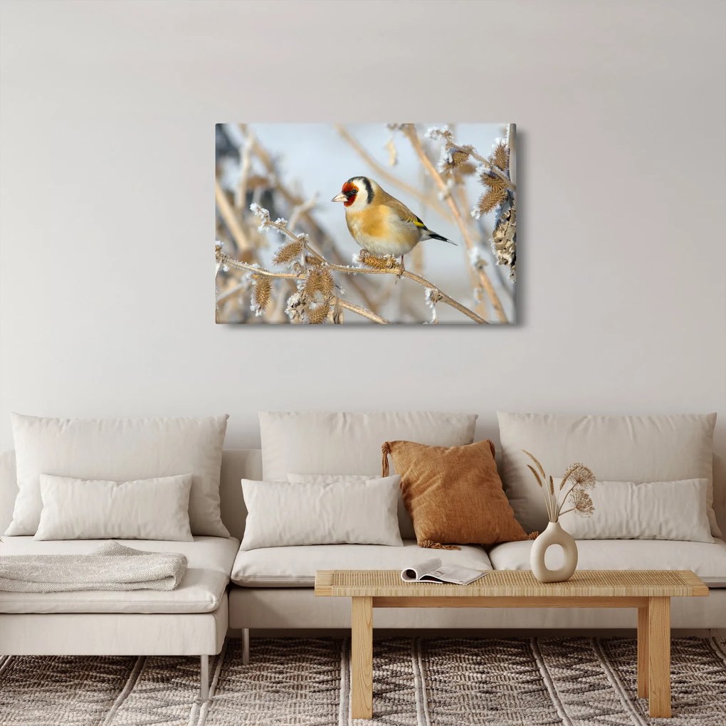 Tablou - Ciredeaua (90x60 cm)