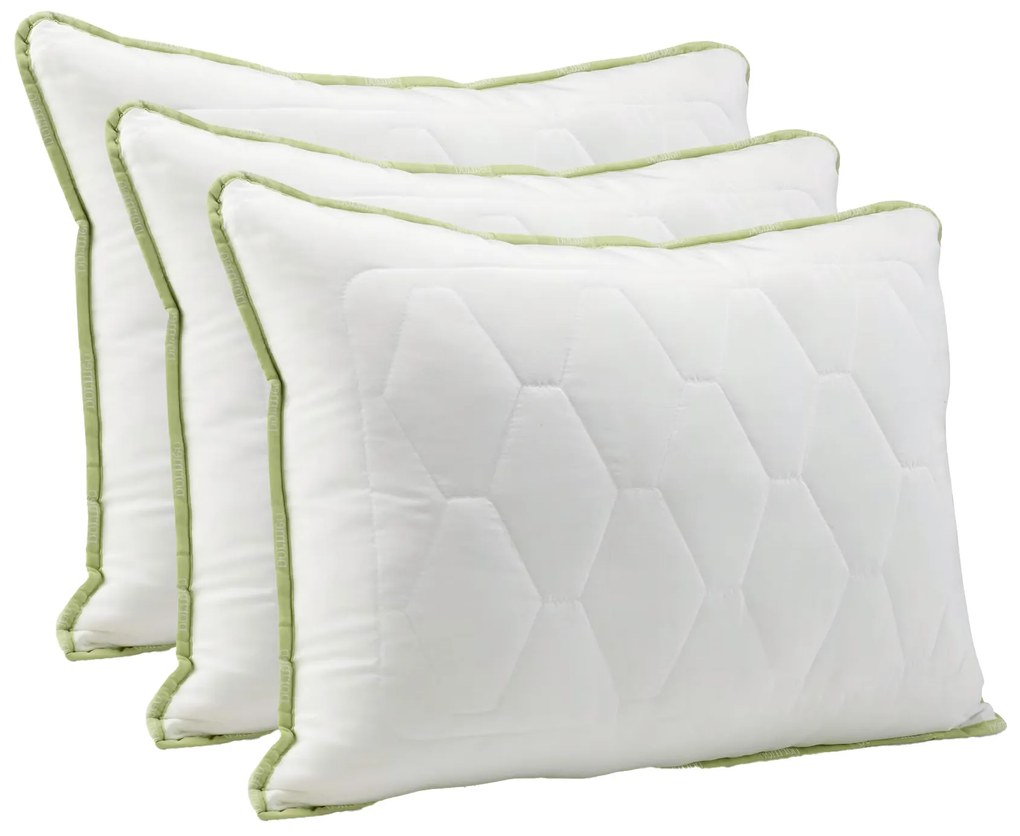 3xDORMEO perna clasica Aloe Vera 50X70 cm