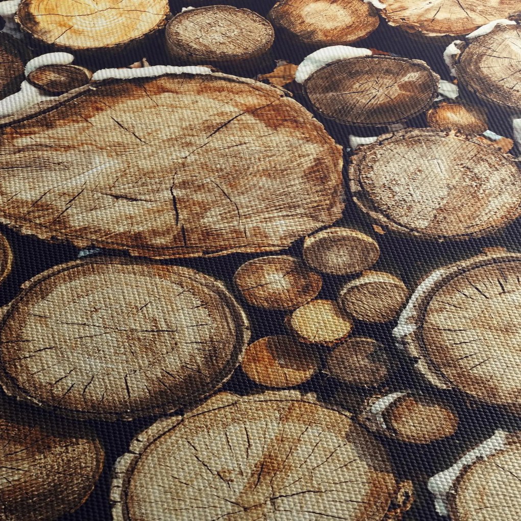 Tablou - Lemn în zăpadă (150x105 cm)