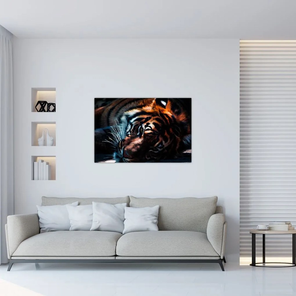 Tablou cu tigrul dormind (90x60 cm)