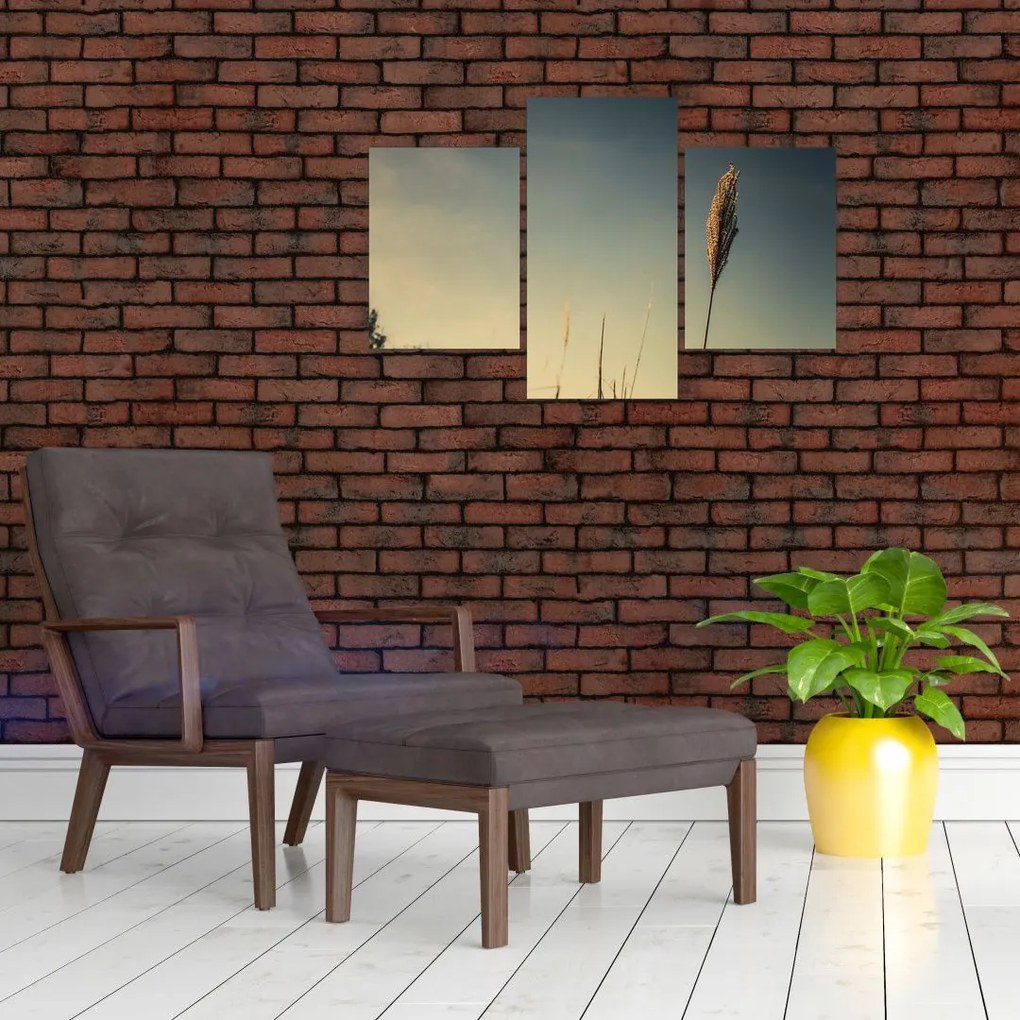 Tablou - Iarba (90x60 cm)