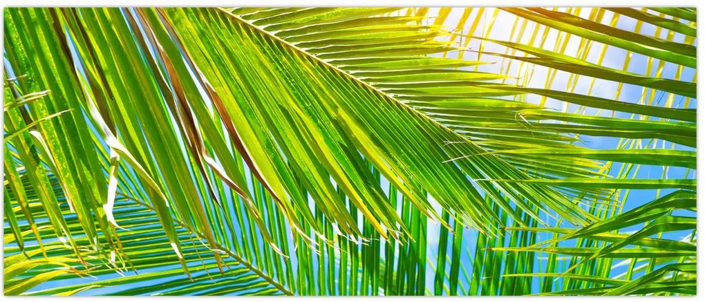 Tablou - Frunze de palmier (120x50 cm)