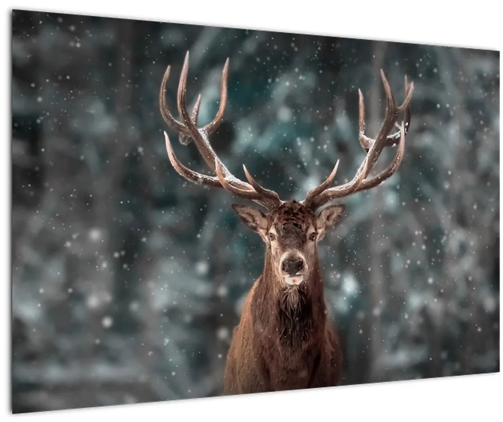 Tablou - Cerbul majestic (90x60 cm)