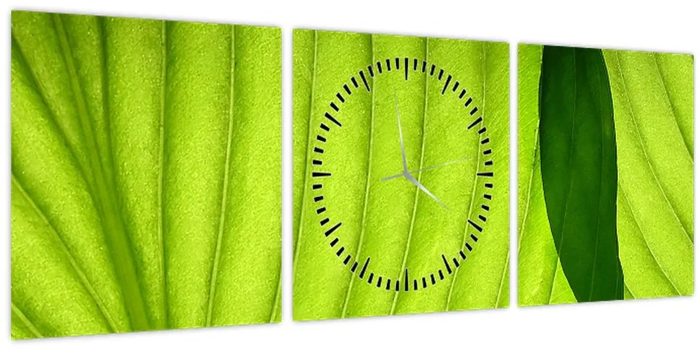 Tablou - Detaliu de frunză verde (cu ceas) (90x30 cm)