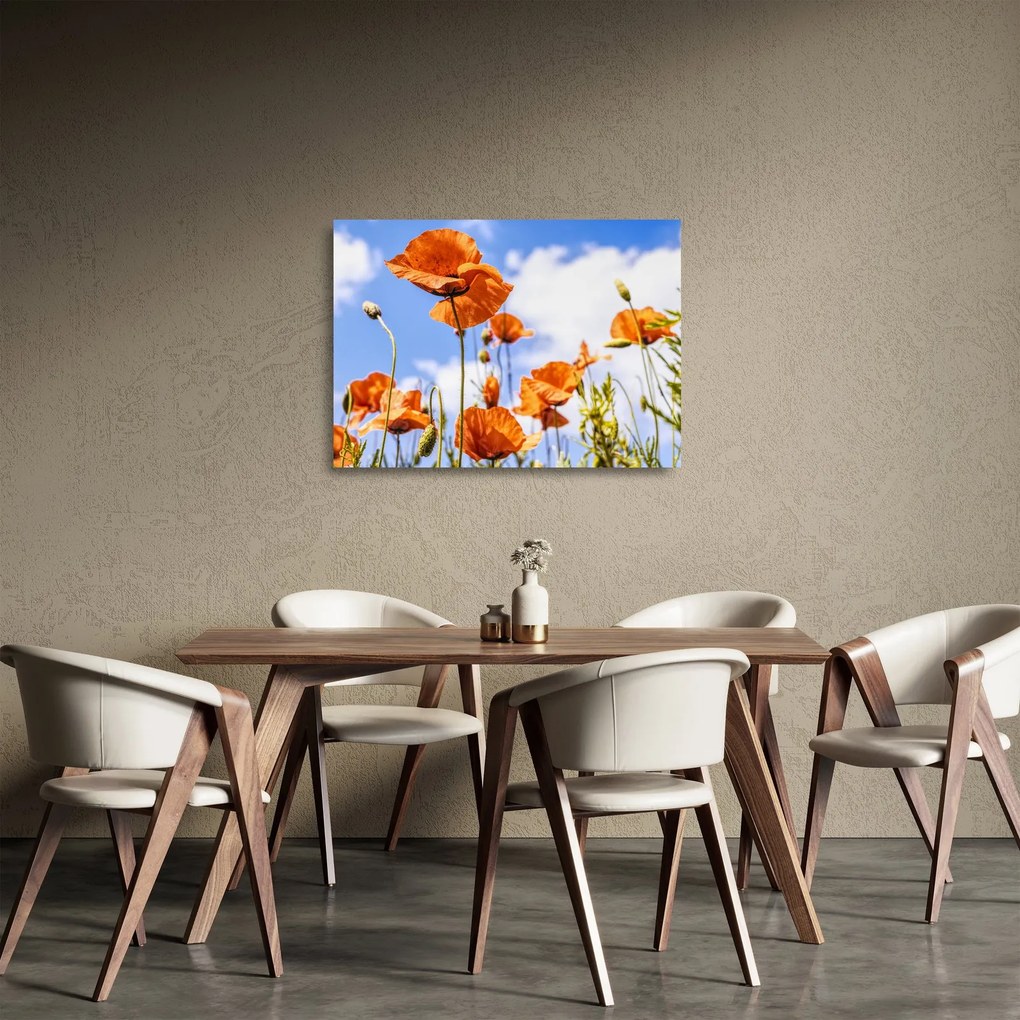 Tablou pe sticlă cu macii (70x50 cm)