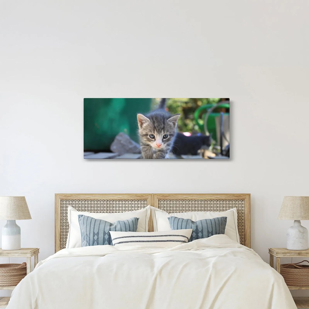 Tablou cu pisicuțe (120x50 cm)