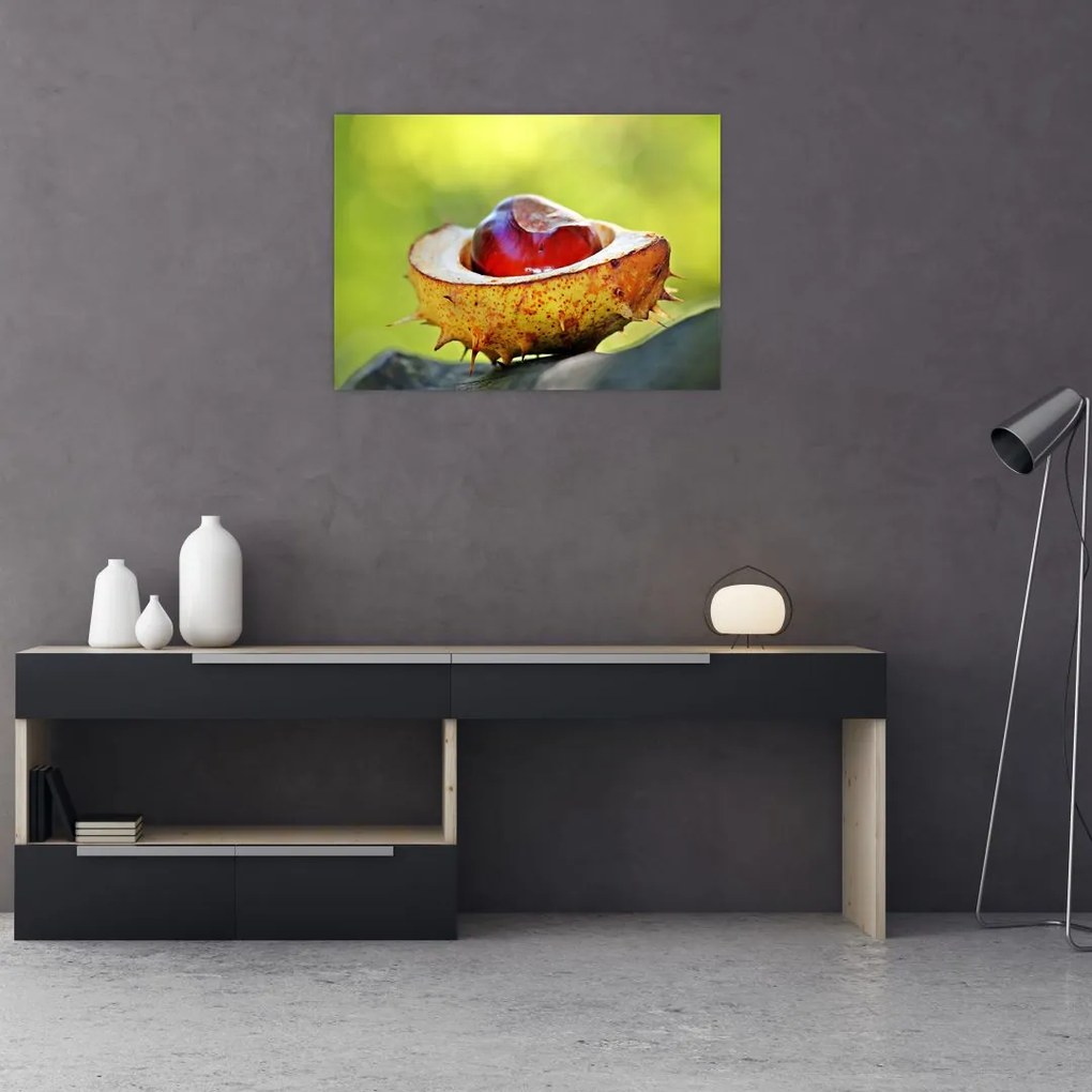 Tablou cu castani (70x50 cm)