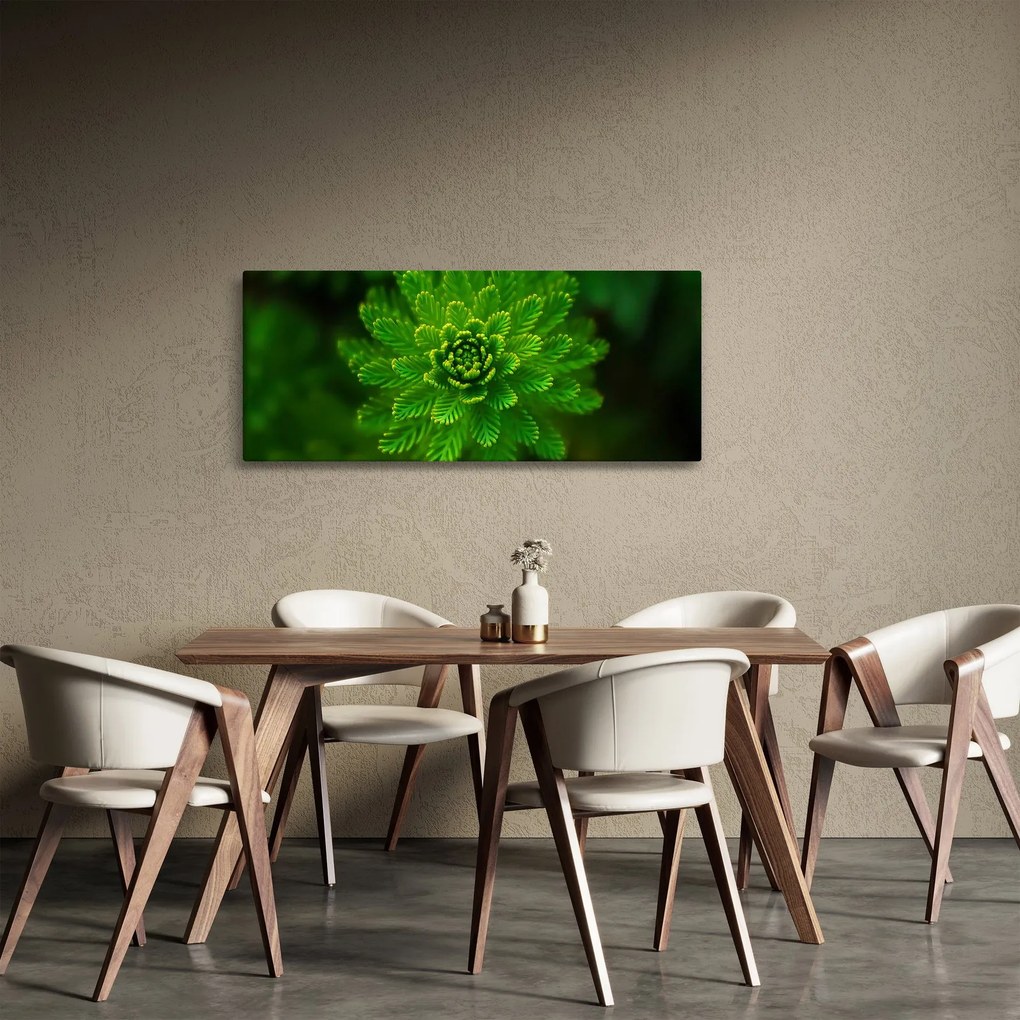 Tablou cu coniferi (120x50 cm)