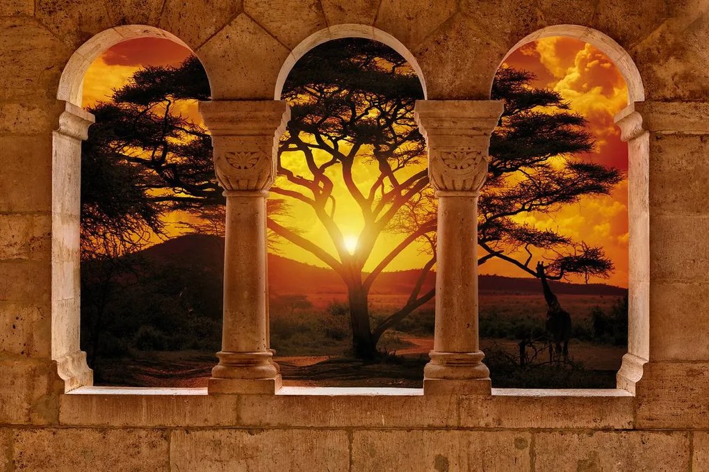 Fototapet - Peisaj african (254x184 cm)