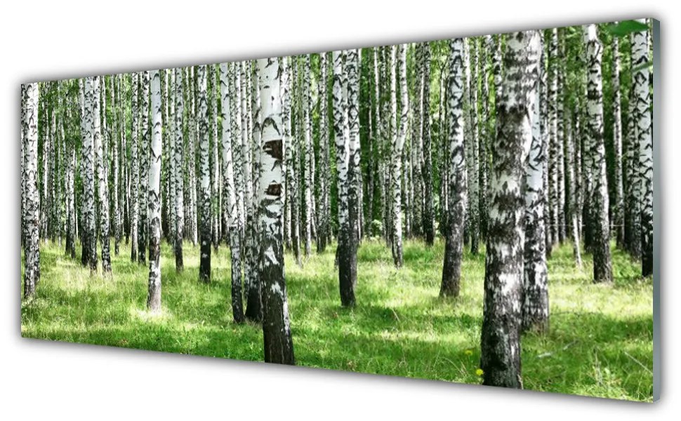 Tablou pe sticla Natural Pădurea Neagră Alb Verde