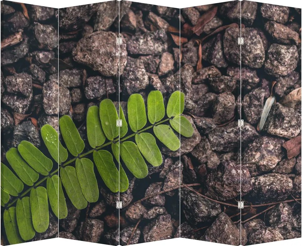 Paravan - Planta verde (210x170 cm)
