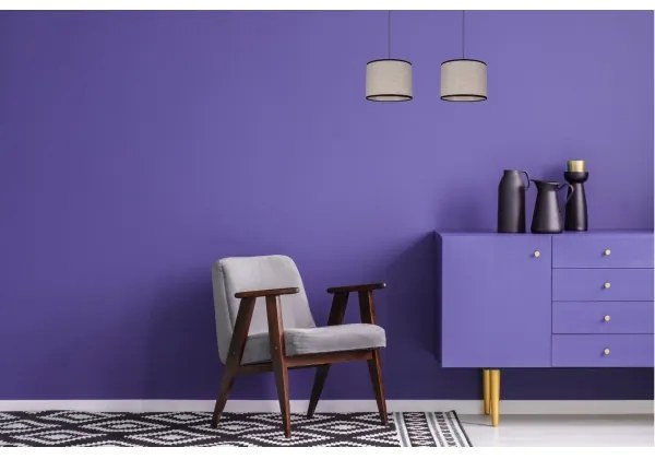 Lustră pe cablu NEXO 2xE27/60W/230V