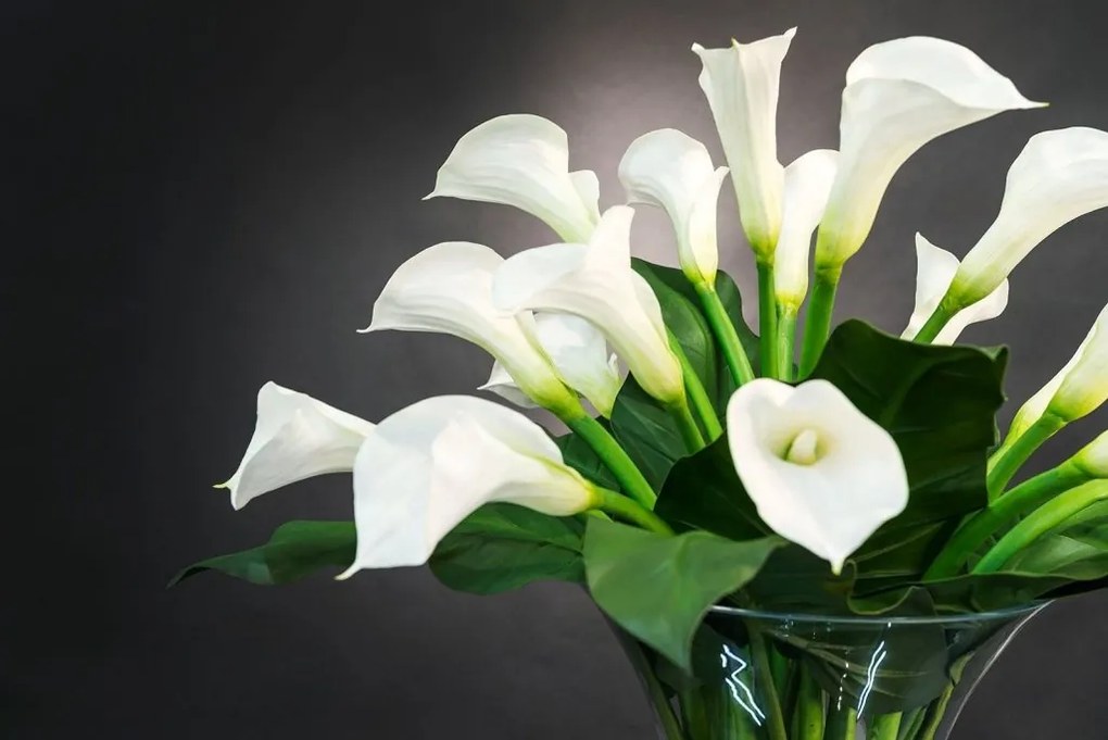 Aranjament floral elegant BOWL CALLA, 120cm 1141075.95