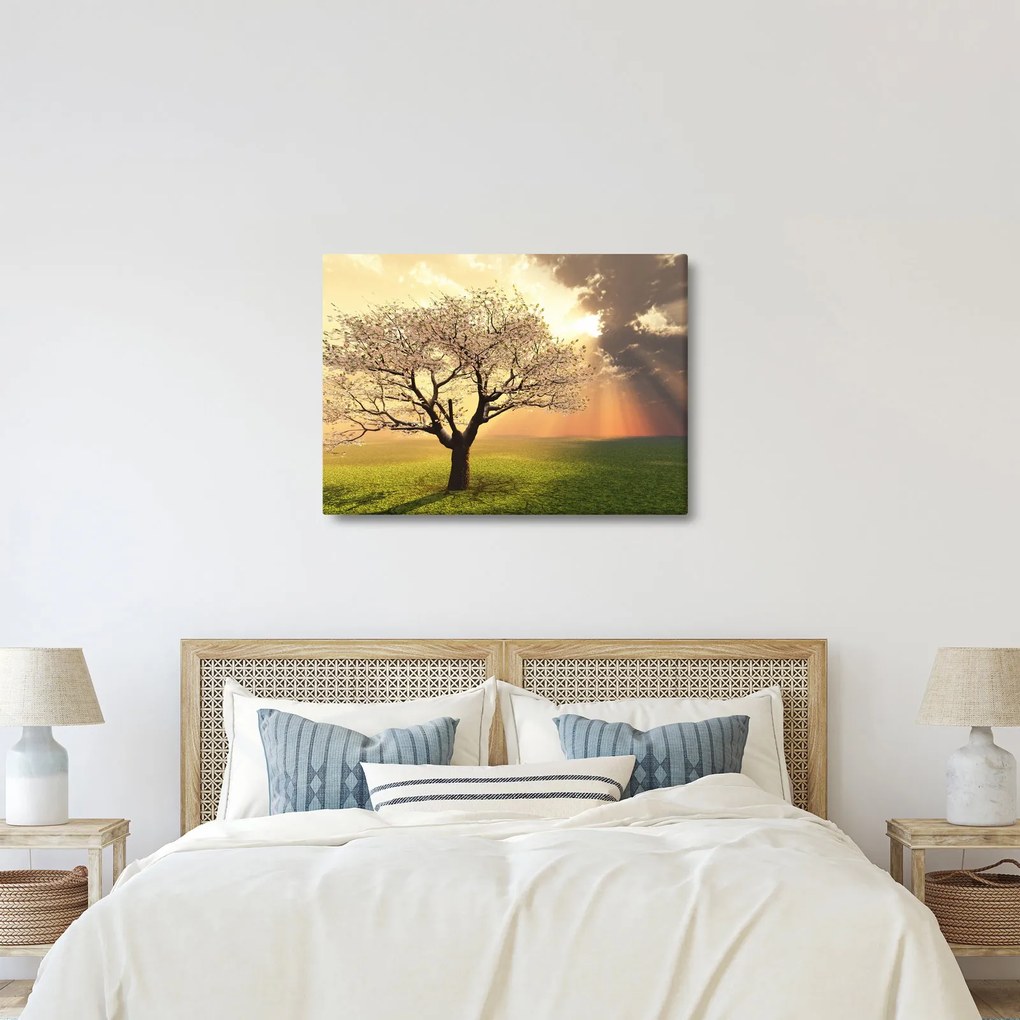 Tablou cu copac pe luncă (70x50 cm)