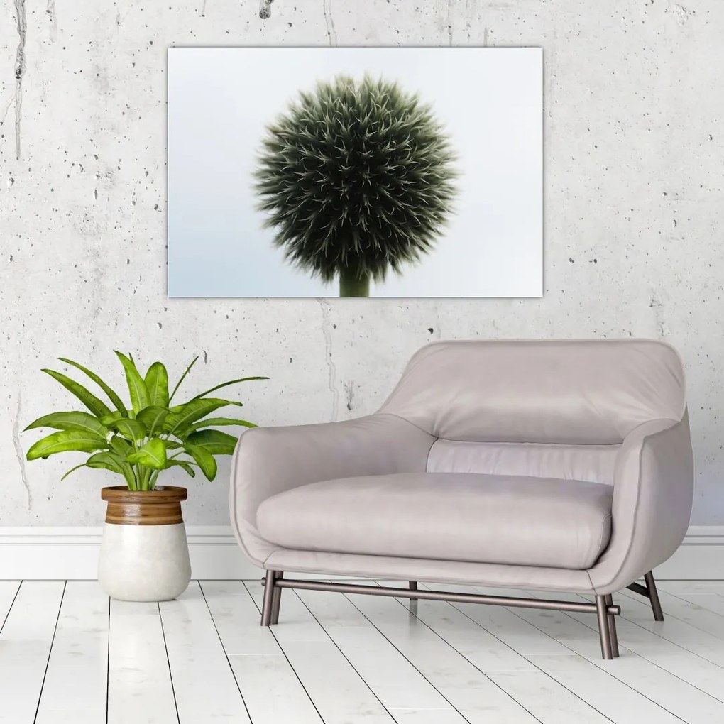 Tablou - Sfere de flori (90x60 cm)