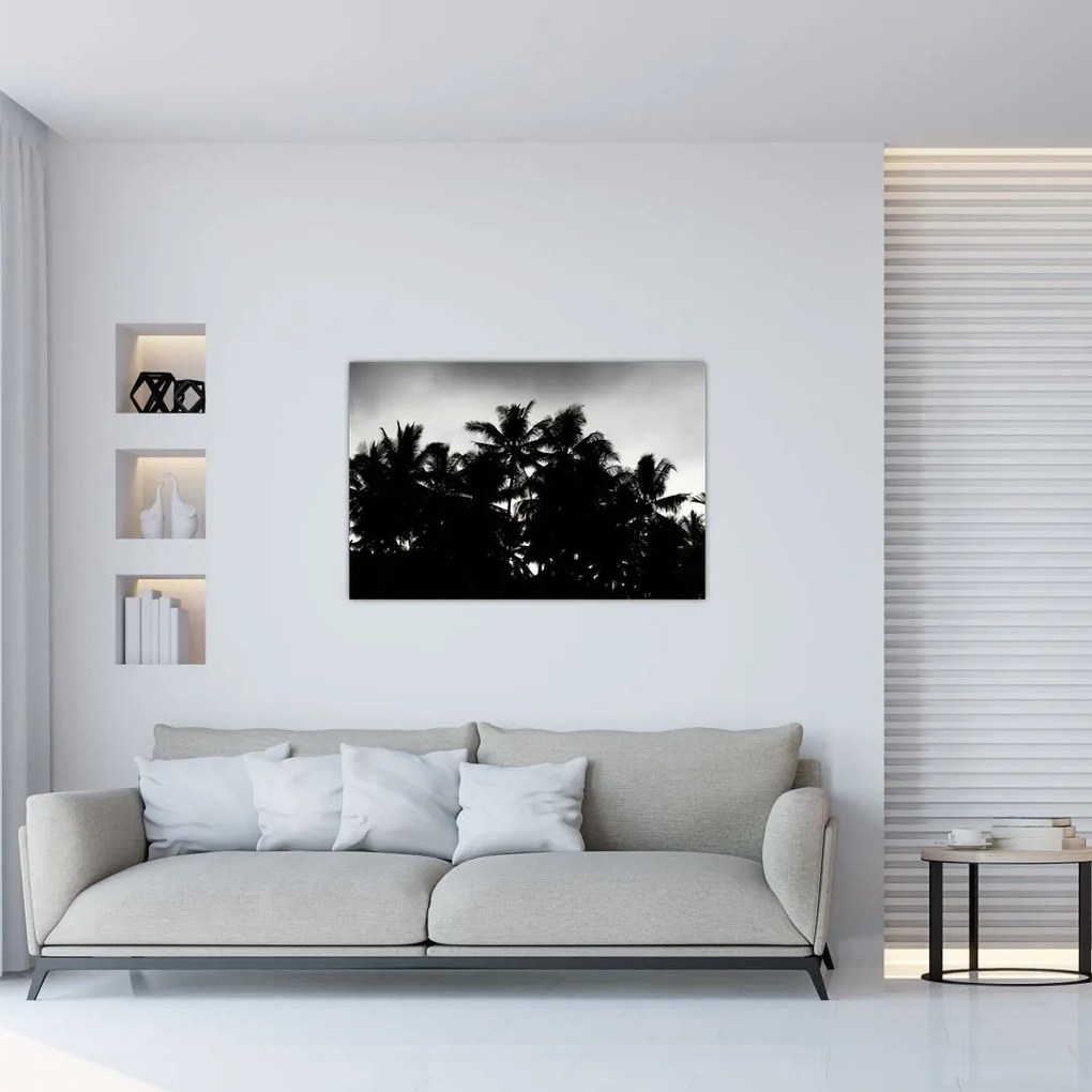 Tablou alb negru - palmieri (90x60 cm)