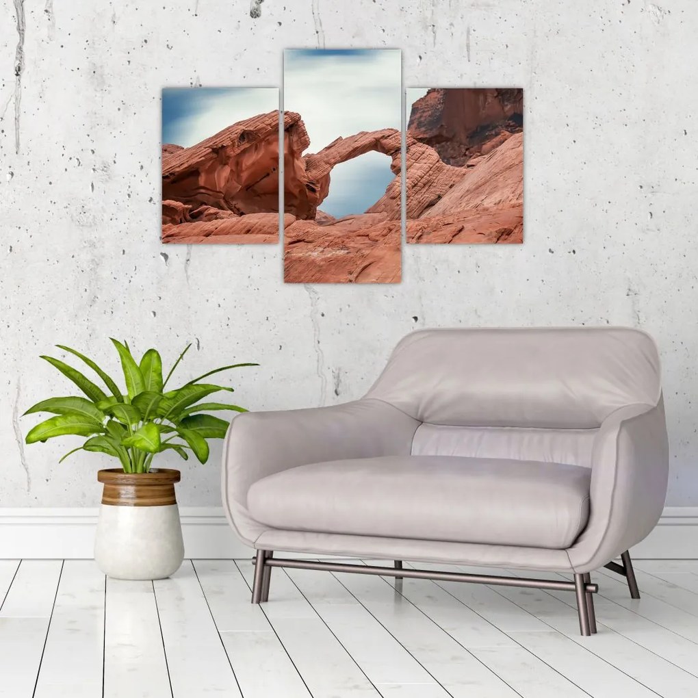 Tablou - Nevada (90x60 cm)