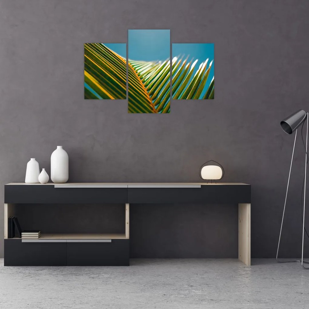 Tablou - Frunze de palmier (90x60 cm)