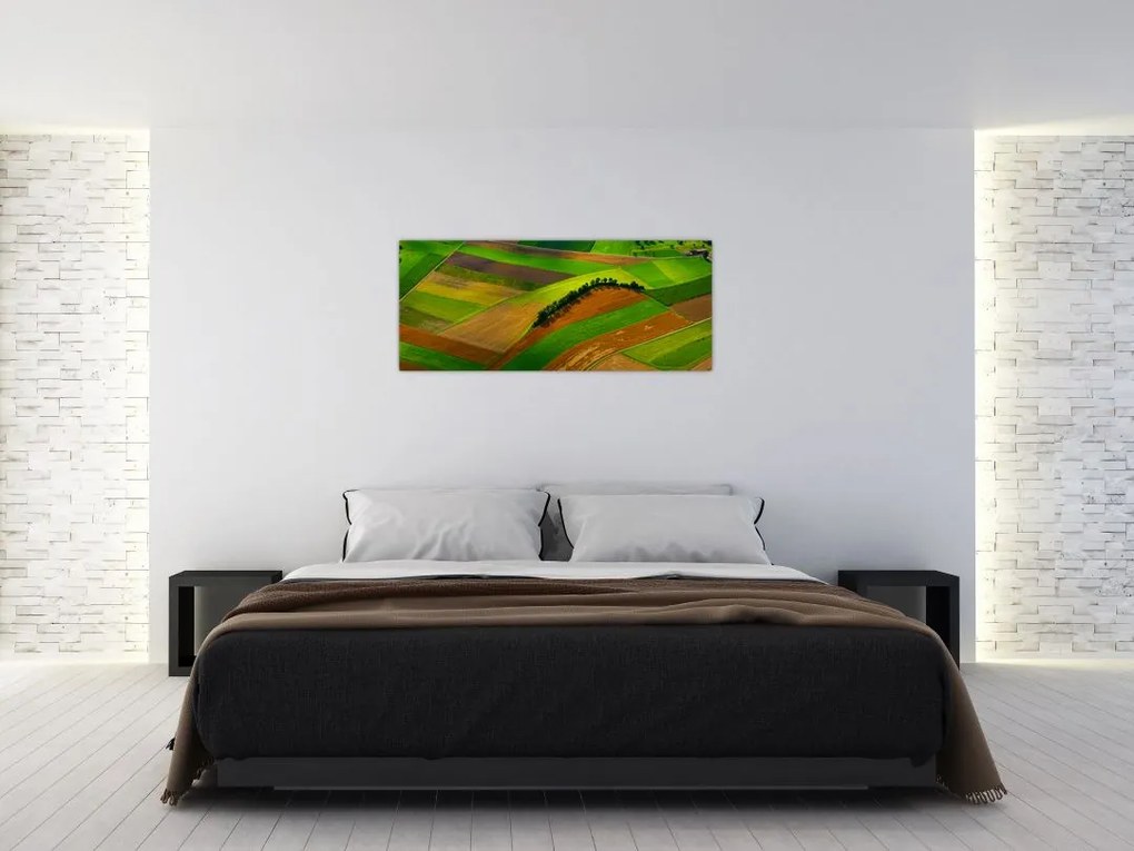 Tablou - Lan, luncile (120x50 cm)