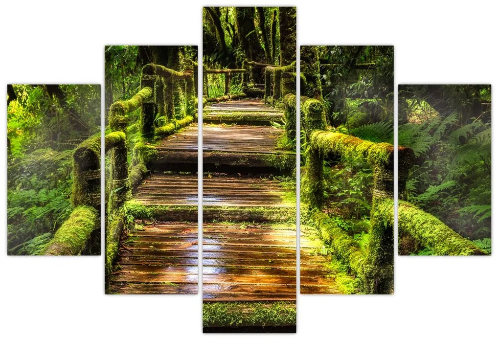 Tablou cu scări într-o pădure tropicală (150x105 cm)