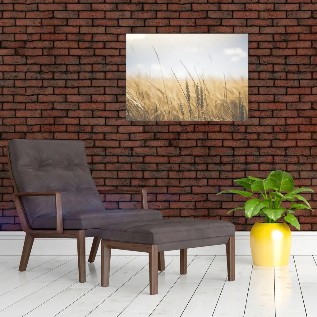Tablou cu grâne (70x50 cm)