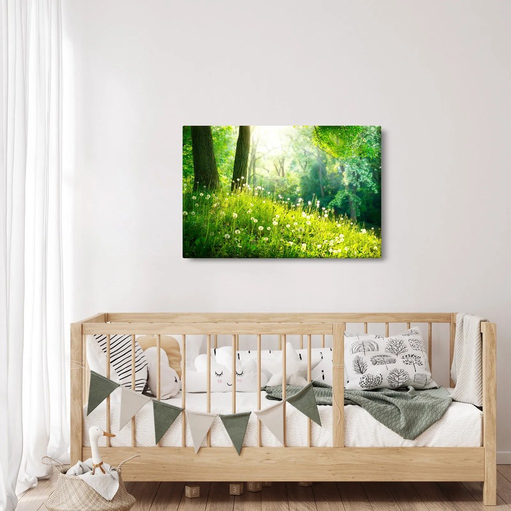 Tablou - Pajiște magică plină de păpădii (90x60 cm)