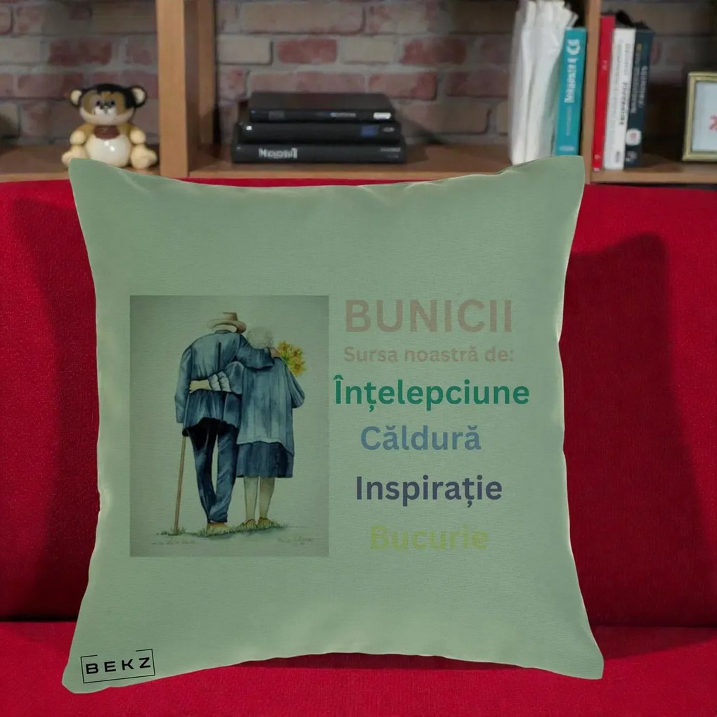 Cadou pentru Bunici - Perna Personalizata Bunicii Sursa Intelepciune Caldura Acuarela, 40x40 cm, Verde, Husa Detasabila, Perna Inclusa, BEKZ®