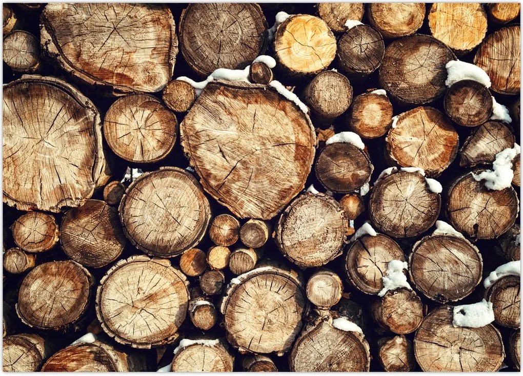 Tablou - Lemn în zăpadă (70x50 cm)