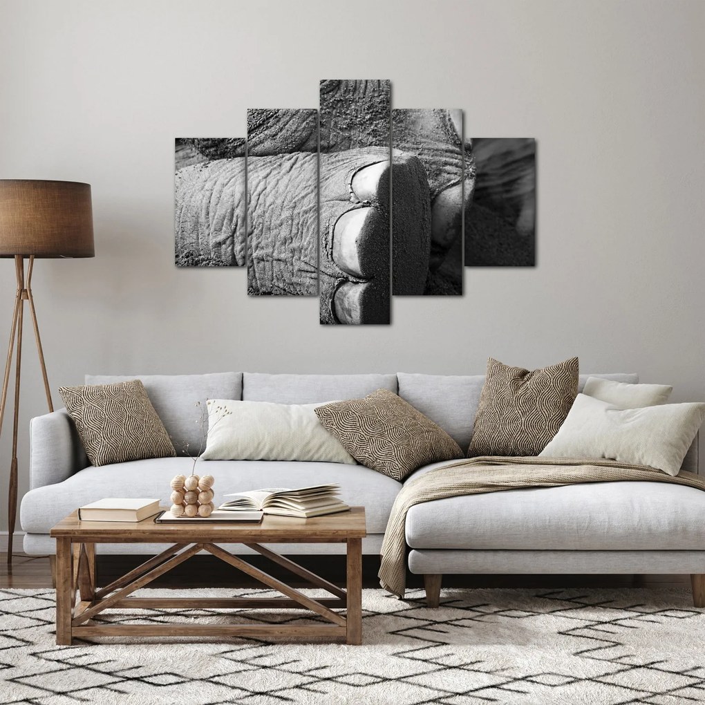Tablou - Picior de elefant (150x105 cm)