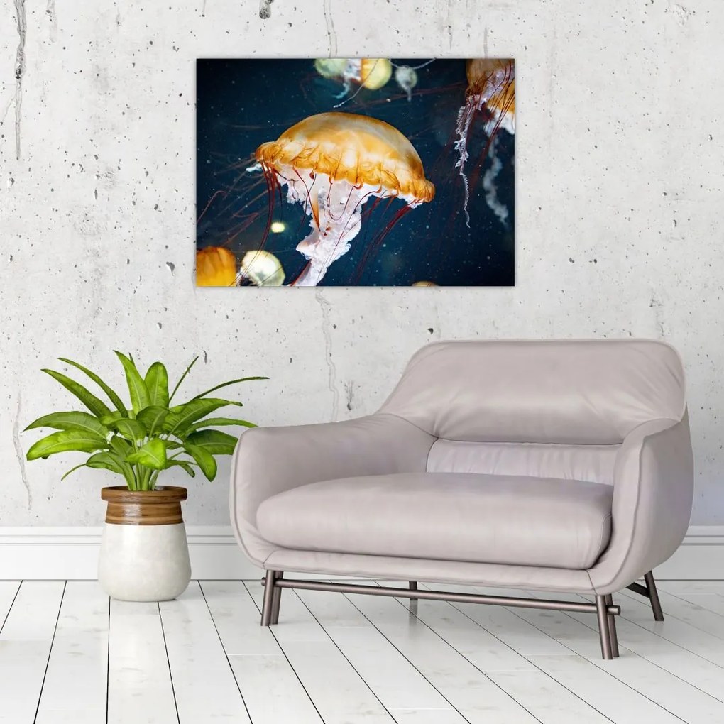 Tablou pe sticlă - Medusa (70x50 cm)