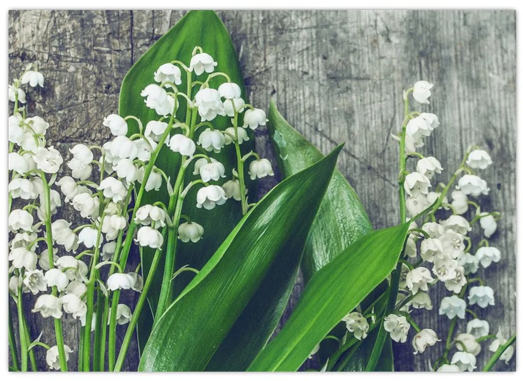 Tablou cu lăcrimioare (70x50 cm)