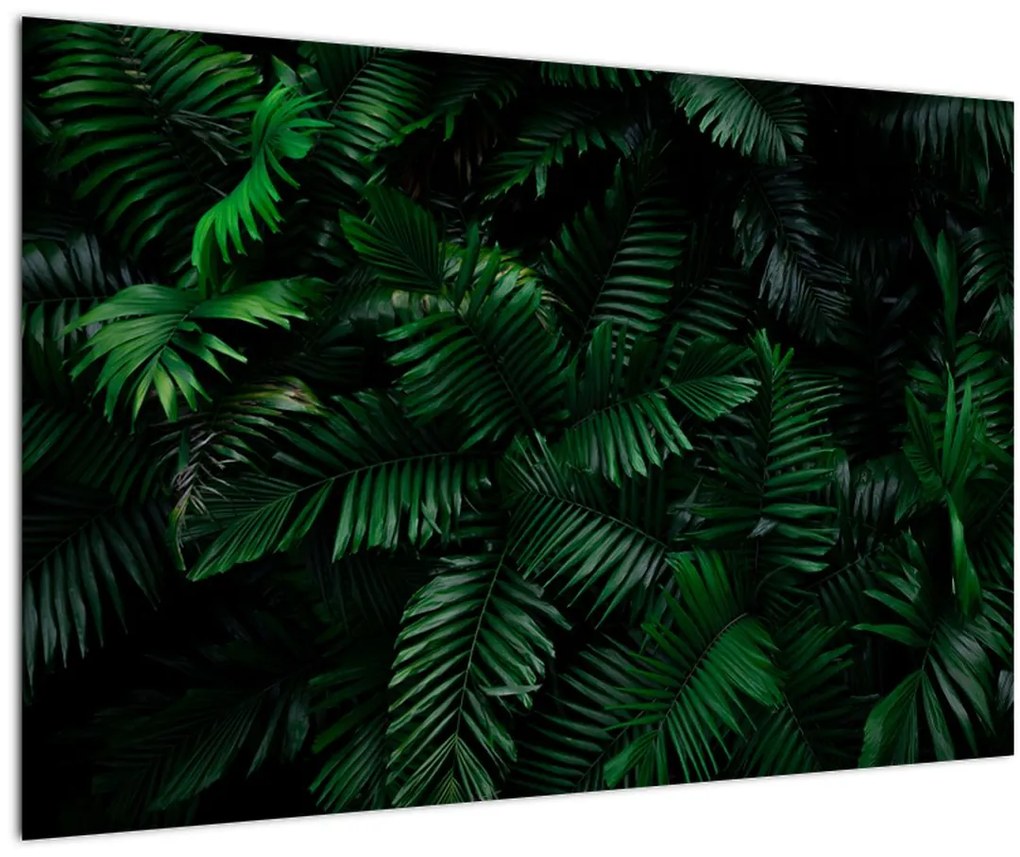 Tablou - Păpădii tropicale (90x60 cm)