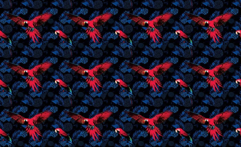 Fototapet - Papagal (152,5x104 cm)