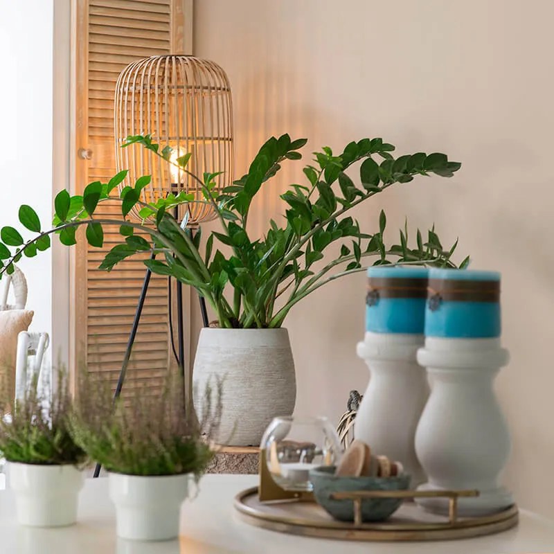 Lampă de podea inteligentă rustică din ratan cu Wi-Fi A60 - Manila