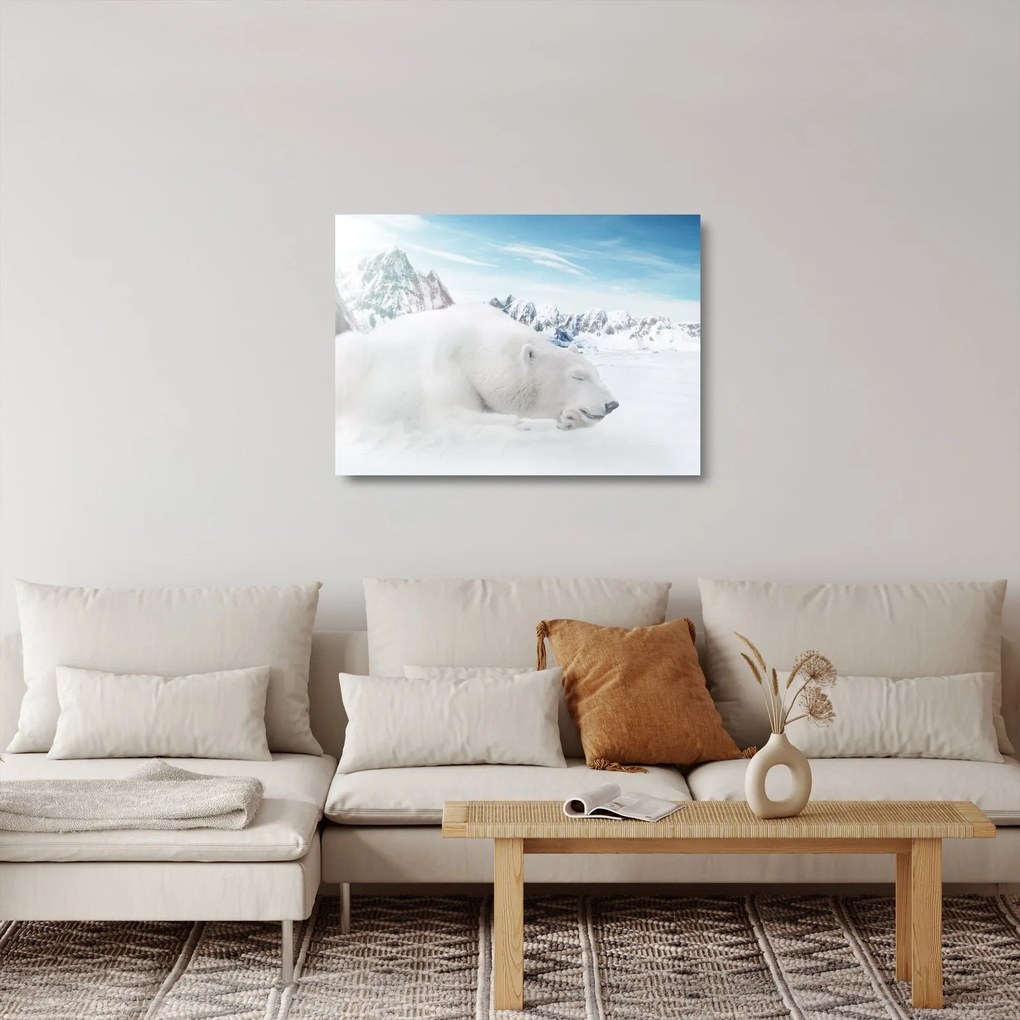 Tablou pe sticlă - Urs polar (70x50 cm)