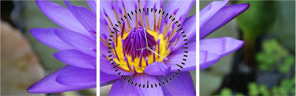 Tablou - Floare violet (cu ceas) (90x30 cm)